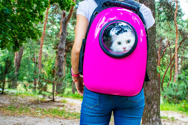 breathable space cat backpack
